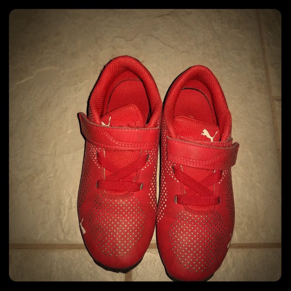 Red puma cat Ferrari  🌶